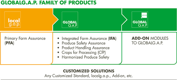 GG_products